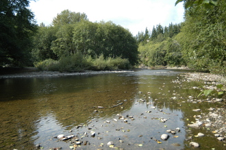 Coppermine Bottom Campground