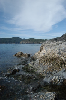 Deception Pass Campground