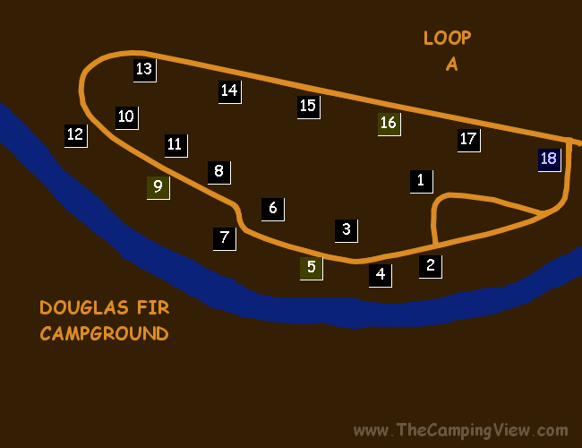 DOUGLAS FIR LOOP A ; Douglas Fir ; Douglas Fir Campground@48.9029395781,-121.91176414489746