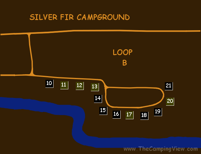 SILVER FIR LOOP B ; Silver Fir ; Silver Fir Campground@48.90334861934719,-121.69592142105103